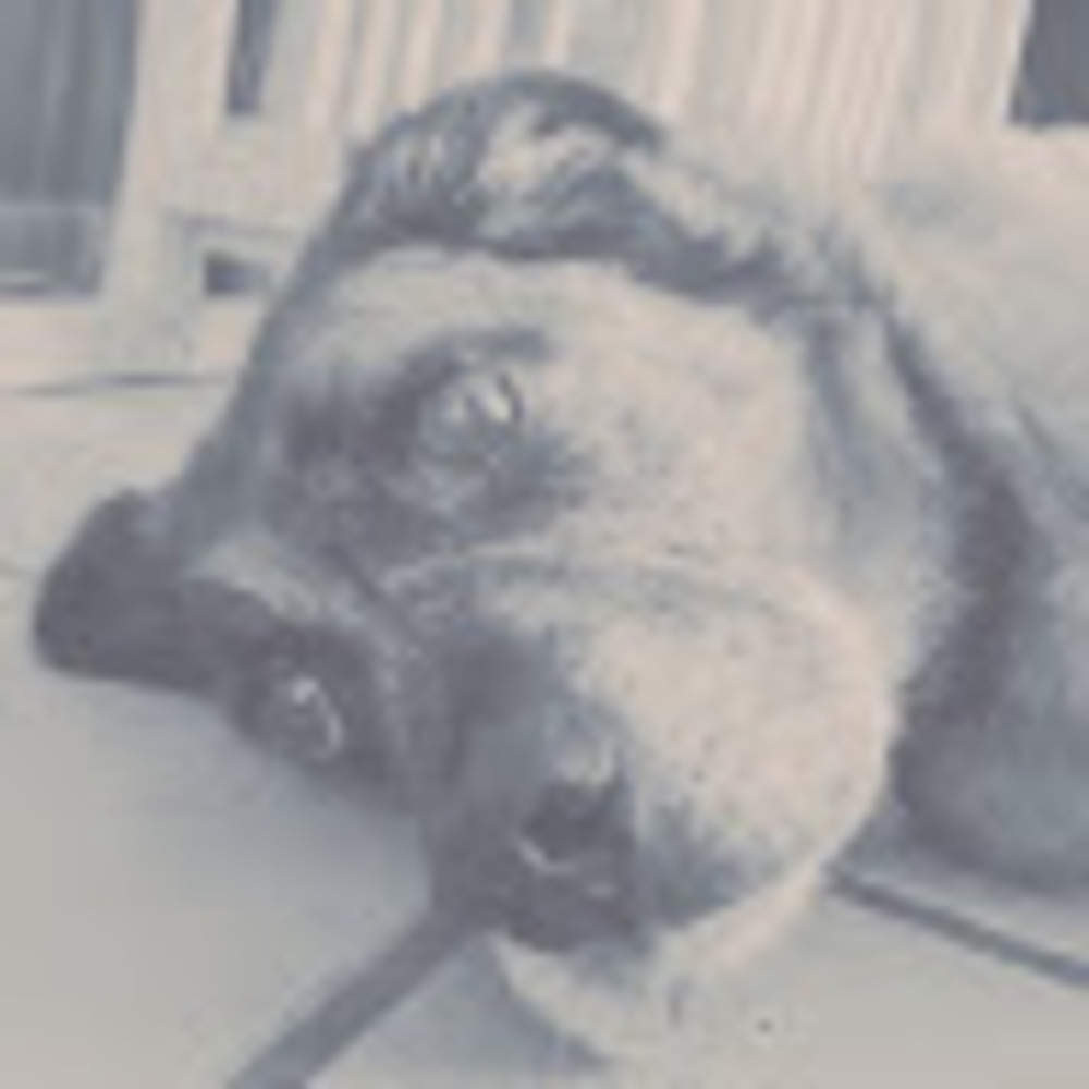 Meet your Posher, Fritzi